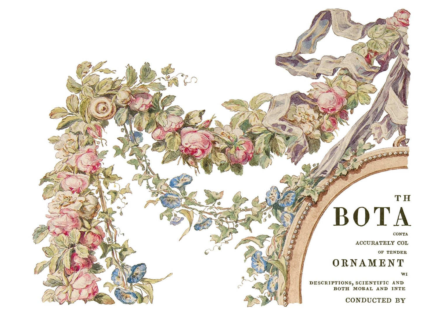 The Botanist IOD Transfer 12x16 Pad (4 sheets)
