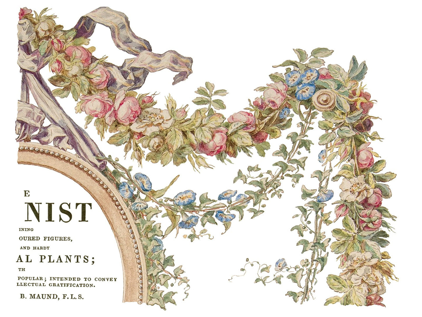 The Botanist IOD Transfer 12x16 Pad (4 sheets)
