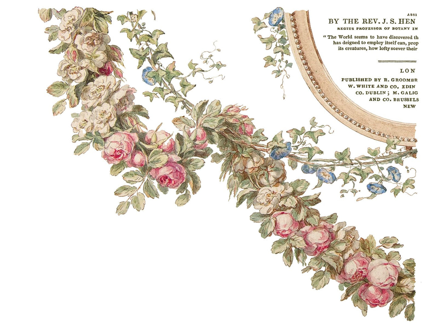 The Botanist IOD Transfer 12x16 Pad (4 sheets)