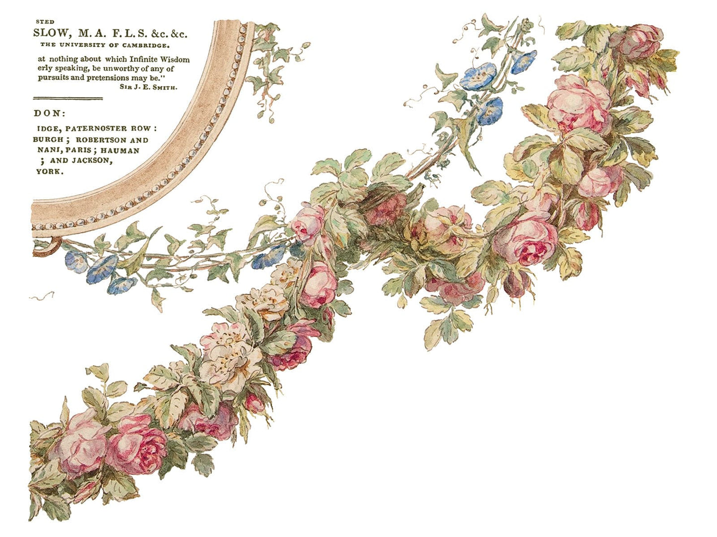 The Botanist IOD Transfer 12x16 Pad (4 sheets)