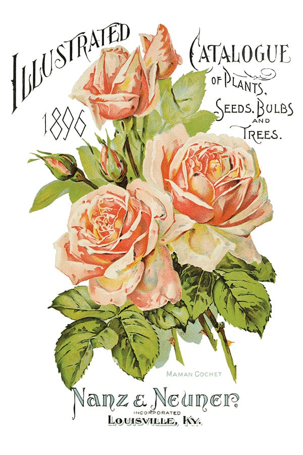 Ephemeral Melange IOD Transfer 8x12 (8 Sheets)