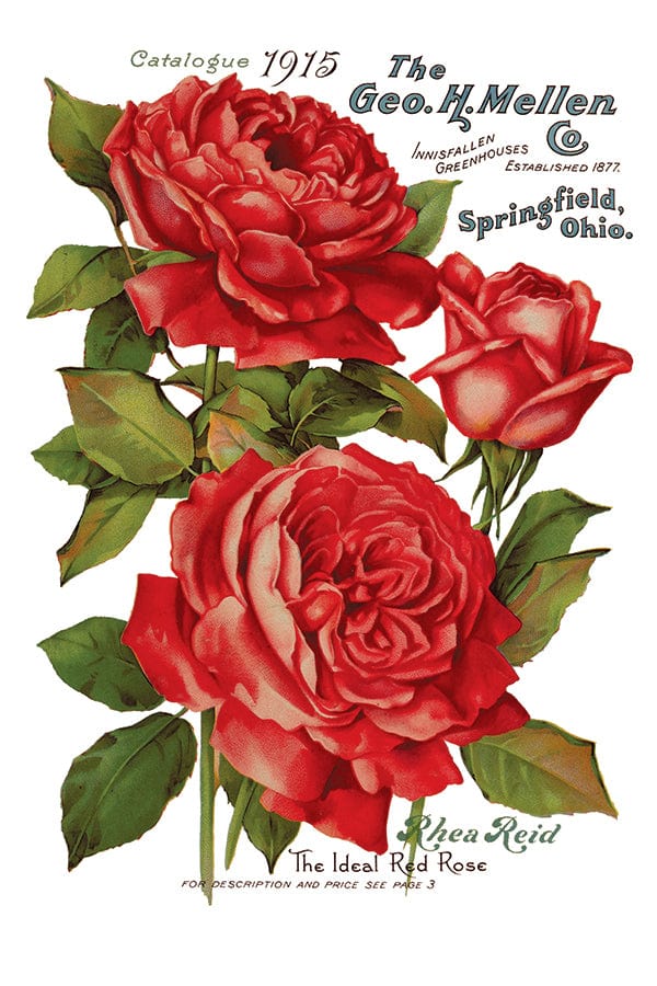 Ephemeral Melange IOD Transfer 8x12 (8 Sheets)