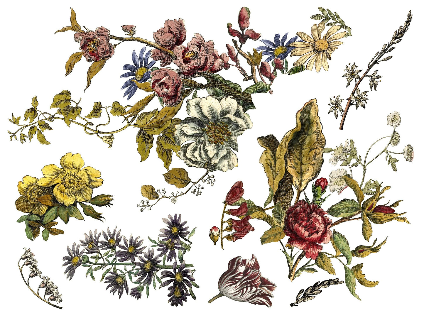 Floral Anthology IOD Transfer 12x16 Pad (4 sheets)