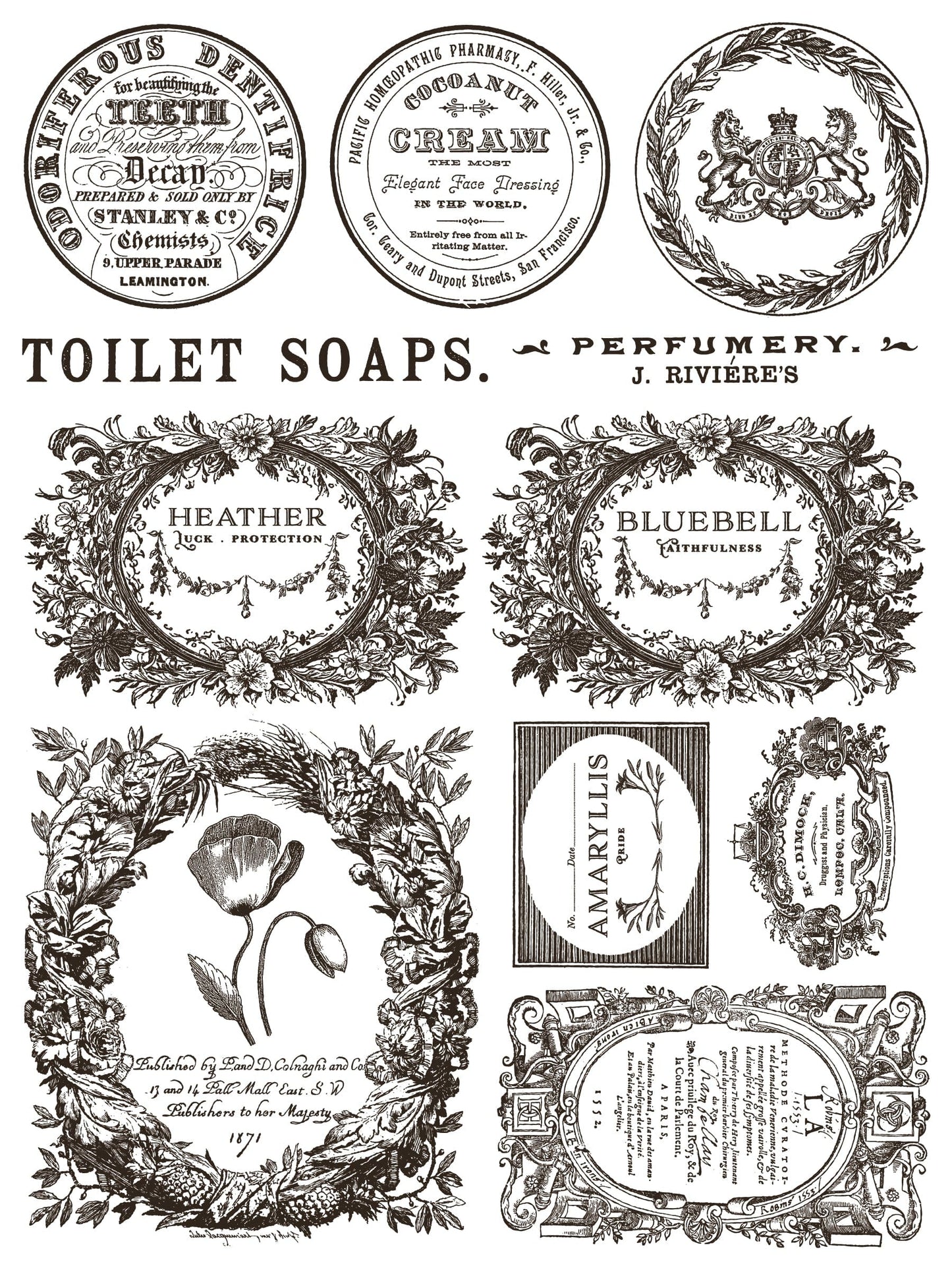 IOD Paint Inlay Floriography IOD Paint Inlay 12x16 (8 Sheets)