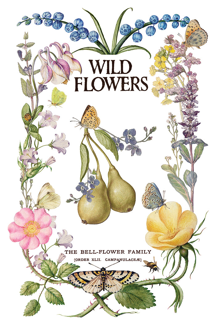 IOD Primrose Isle Transfer | 8-8"x12" Sheet Decor Transfer by Iron Orchid Designs | Vintage Wildflowers, Botanical & Cottage Garden Designs