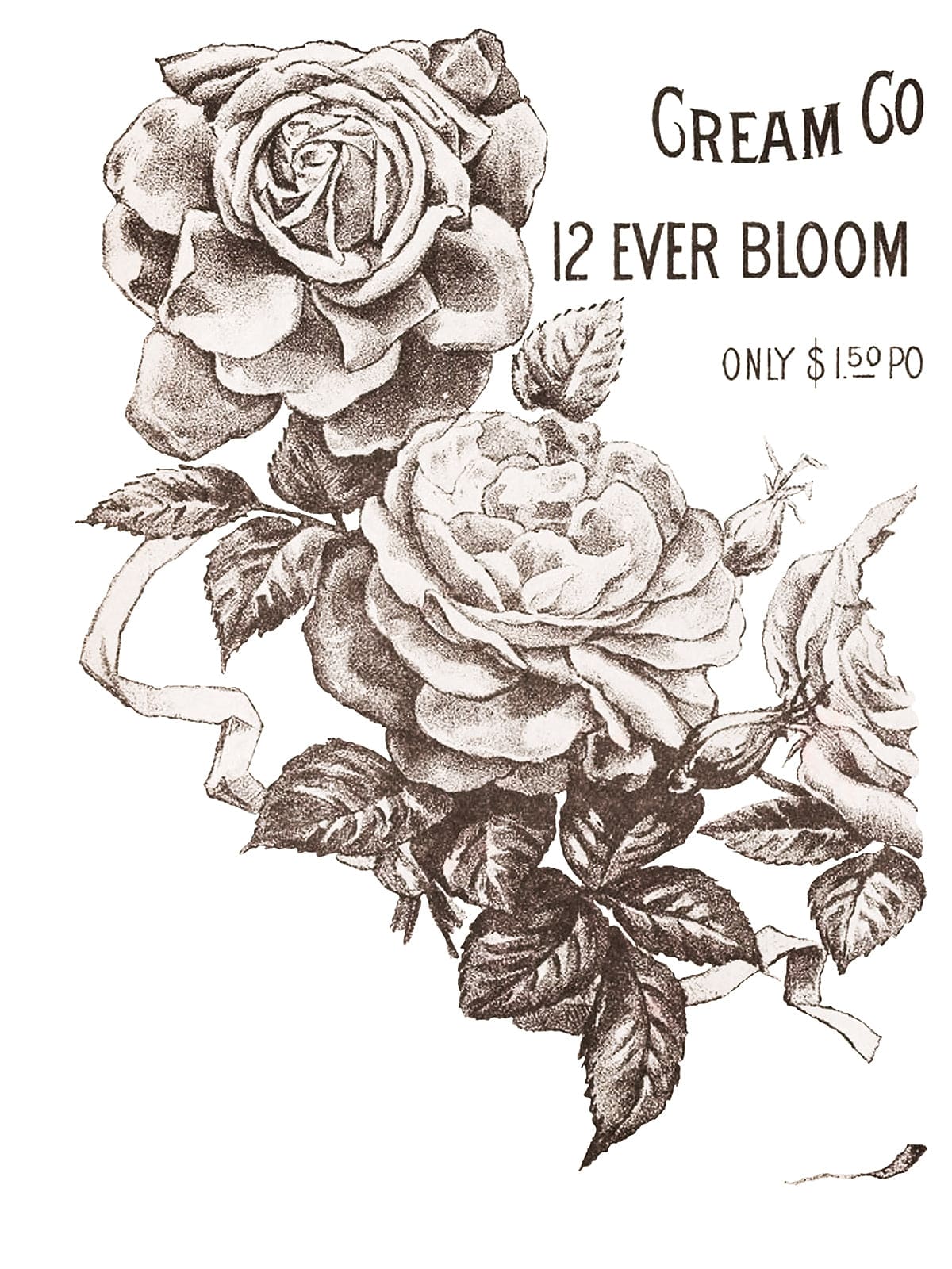 May's Roses IOD Transfer 12x16 (4 Sheets)