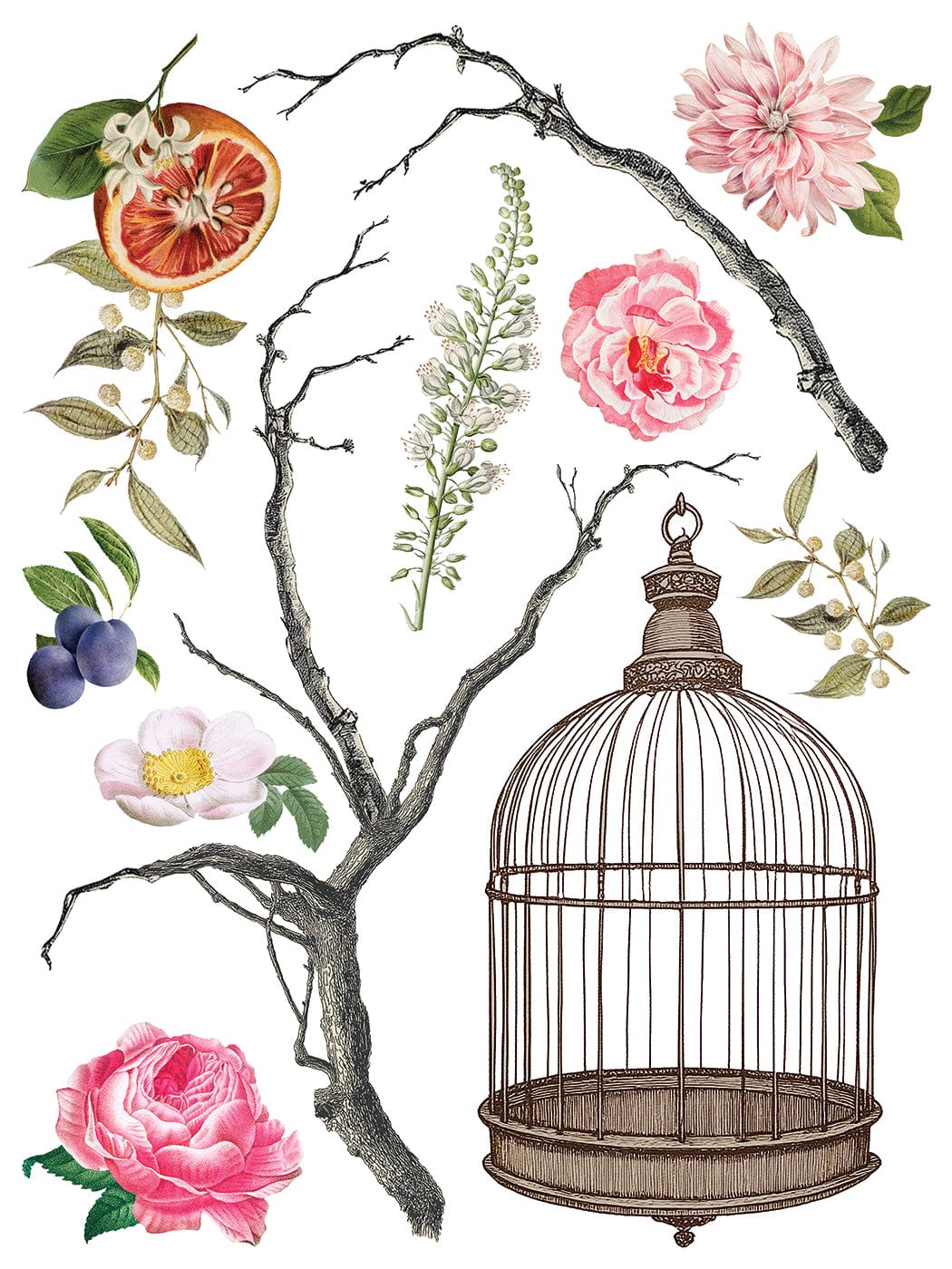 Menagerie IOD Transfer 12x16 Pad (8 sheets)