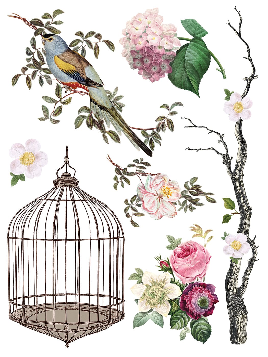 Menagerie IOD Transfer 12x16 Pad (8 sheets)