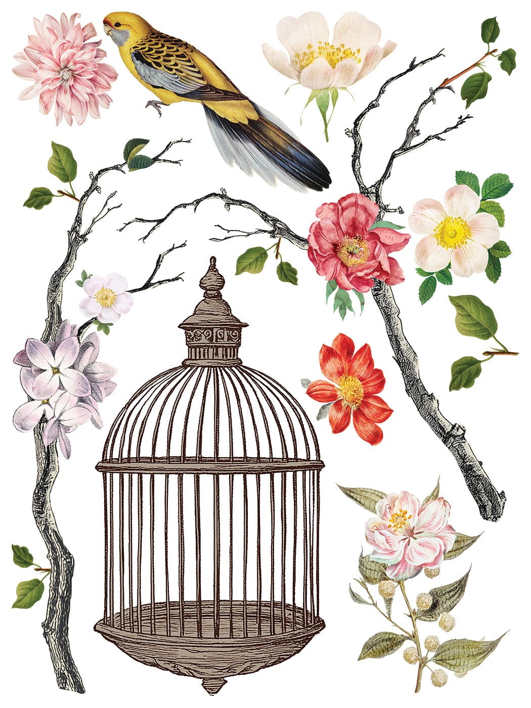 Menagerie IOD Transfer 12x16 Pad (8 sheets)