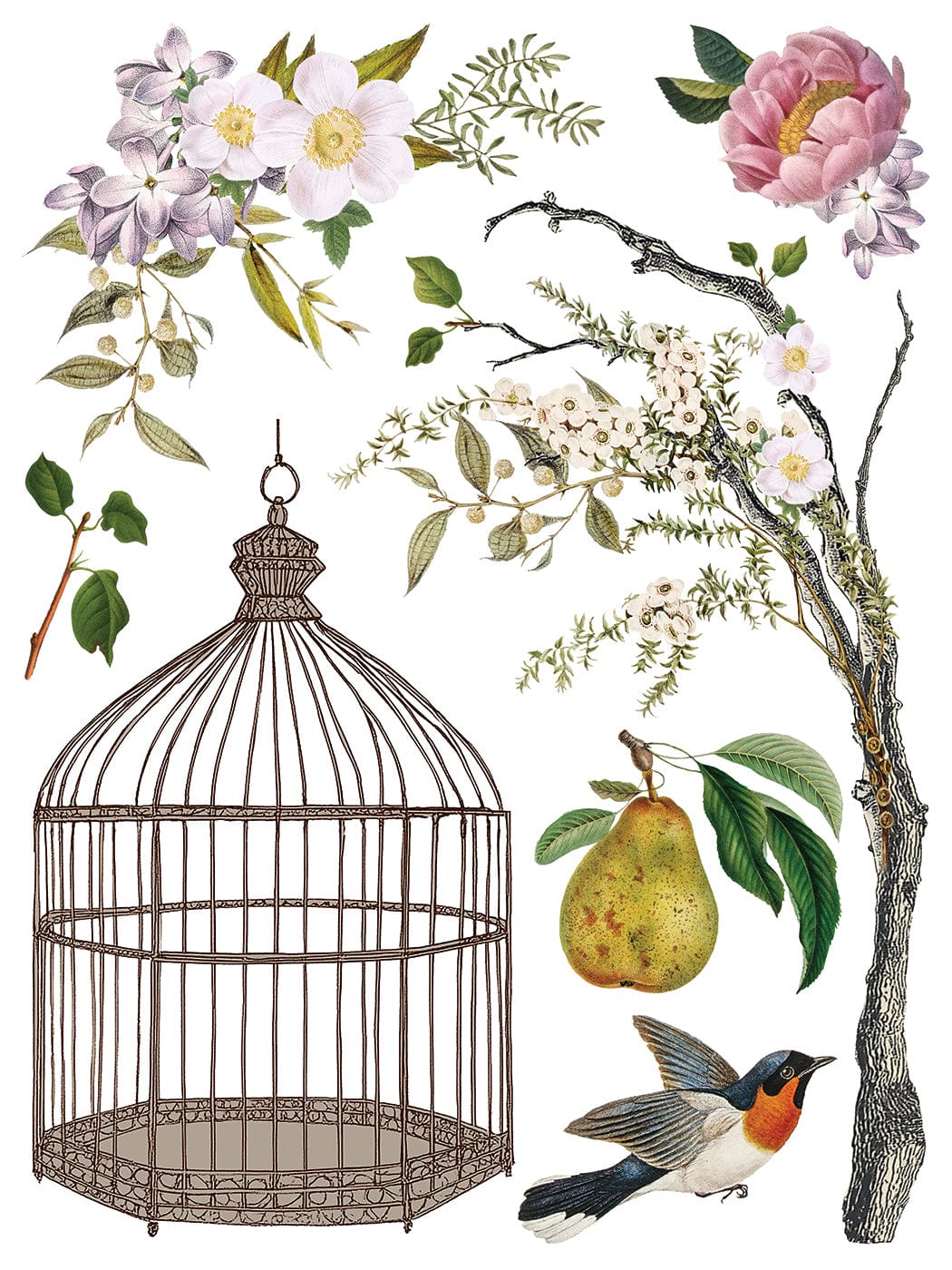 Menagerie IOD Transfer 12x16 Pad (8 sheets)