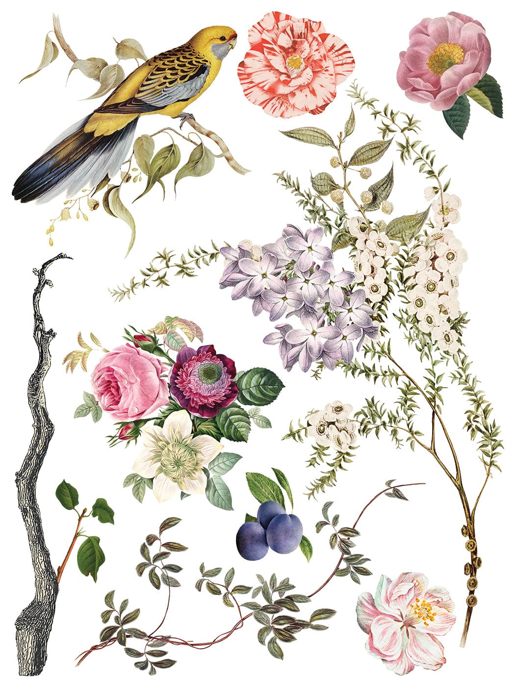 Menagerie IOD Transfer 12x16 Pad (8 sheets)