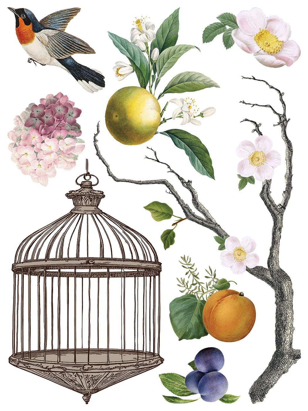 Menagerie IOD Transfer 12x16 Pad (8 sheets)