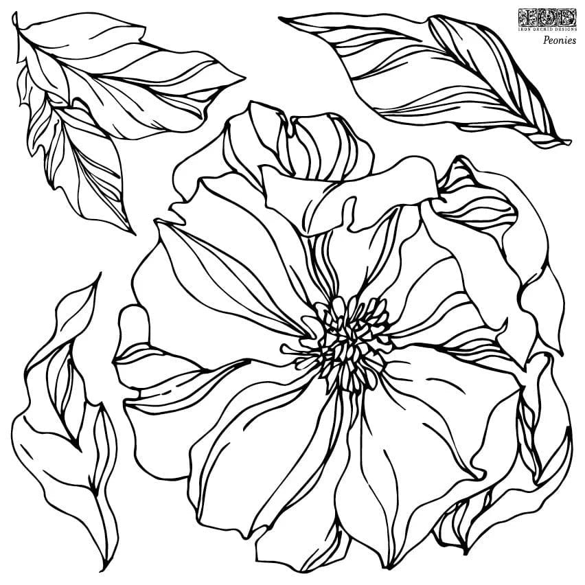 Peonies 12x12 IOD Stamp (2 Sheets)