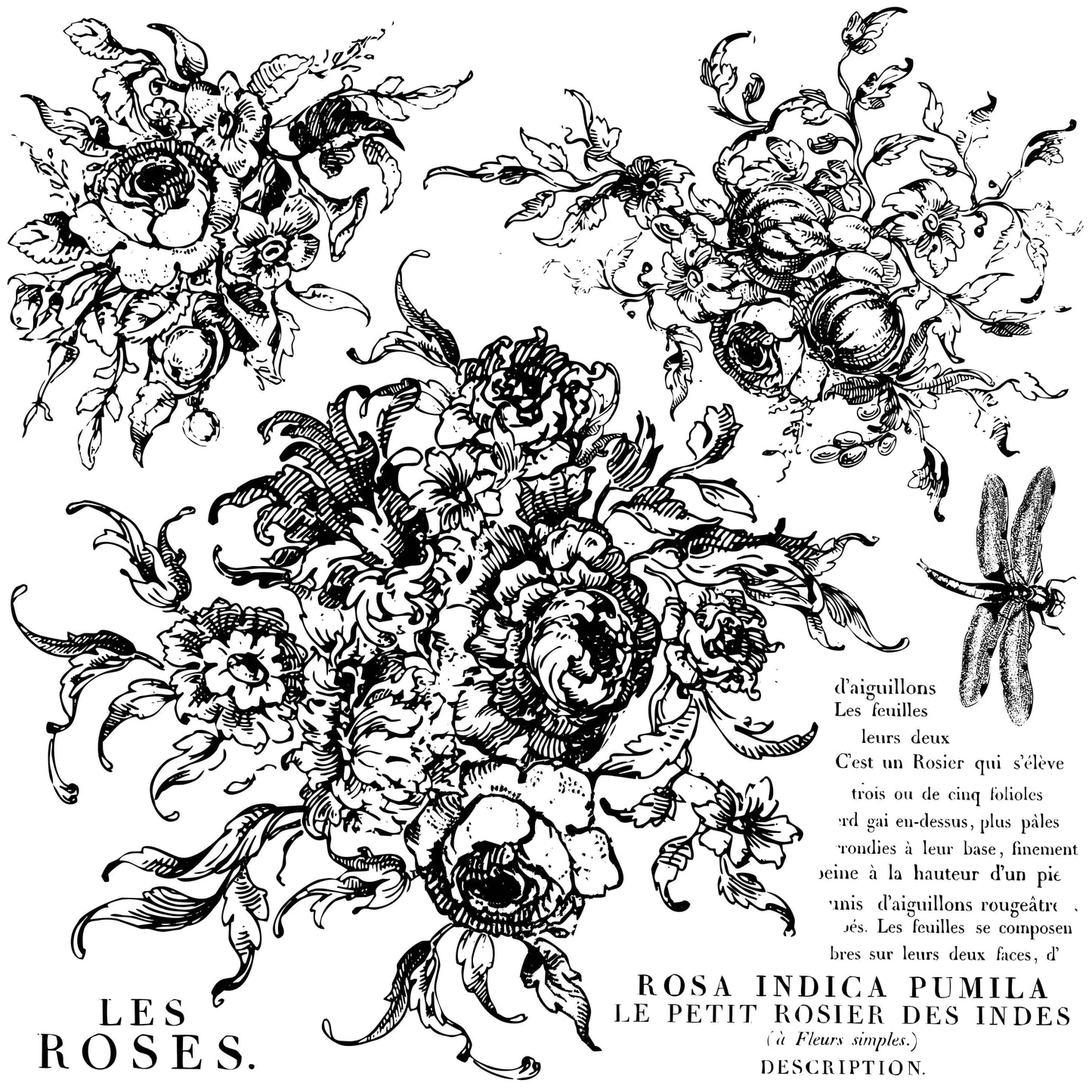 Rose Toile 12x12 IOD Stamp (1 sheet)