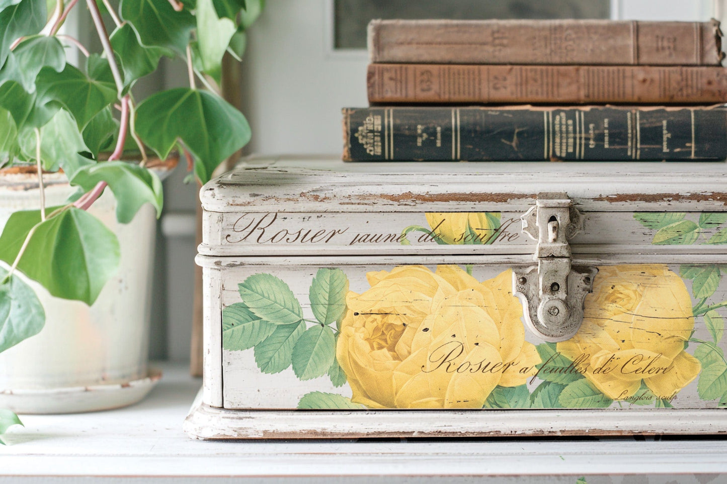 Rose Botanical IOD Transfer 12x16 (8 Sheets)