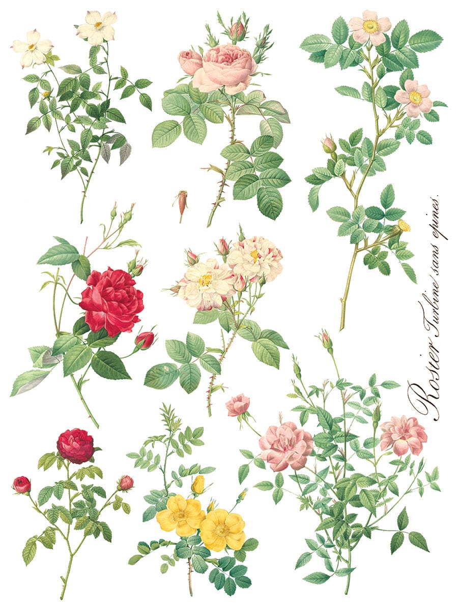 Rose Botanical IOD Transfer 12x16 (8 Sheets)