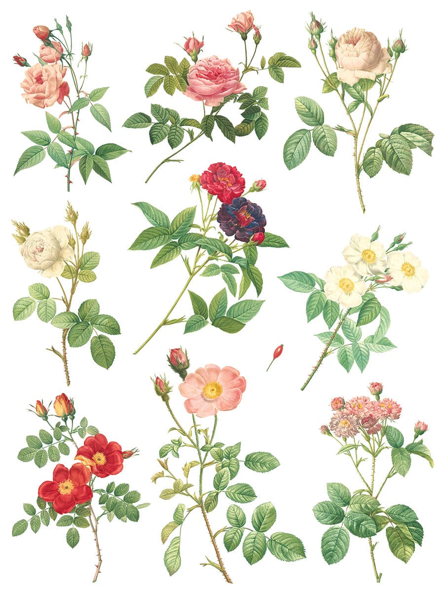 Rose Botanical IOD Transfer 12x16 (8 Sheets)