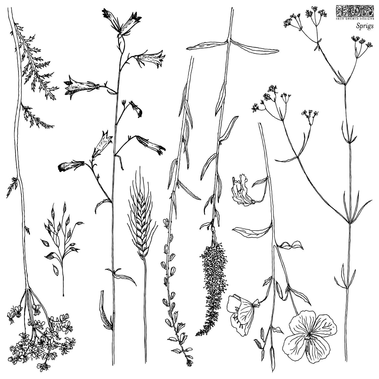 Sprigs 12x12 IOD Stamp (1 sheet)