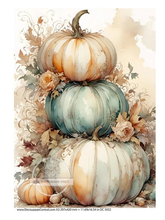 Decoupage Central Decoupage Paper Watercolor Pumpkin Stacked Decoupage Rice Paper (DC5022)