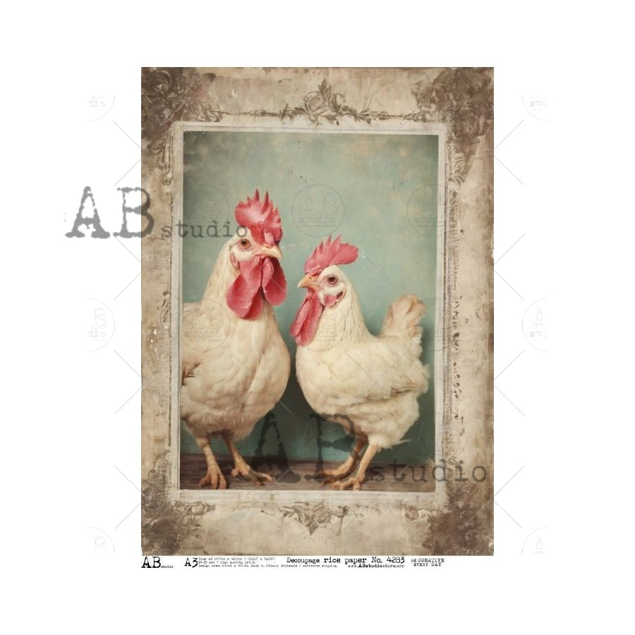 A3 Feathered Companions Rice Paper (AB Studio ID-4283)