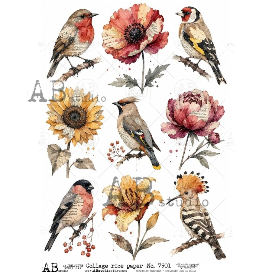 A4 Birds and Wildflowers Collage Rice Paper (AB Studio No. 7901)