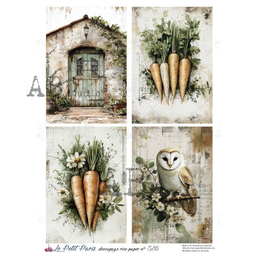 A4 Barn Owl & Root Cellar Decoupage Rice Paper (Le Petit Paris no 520)
