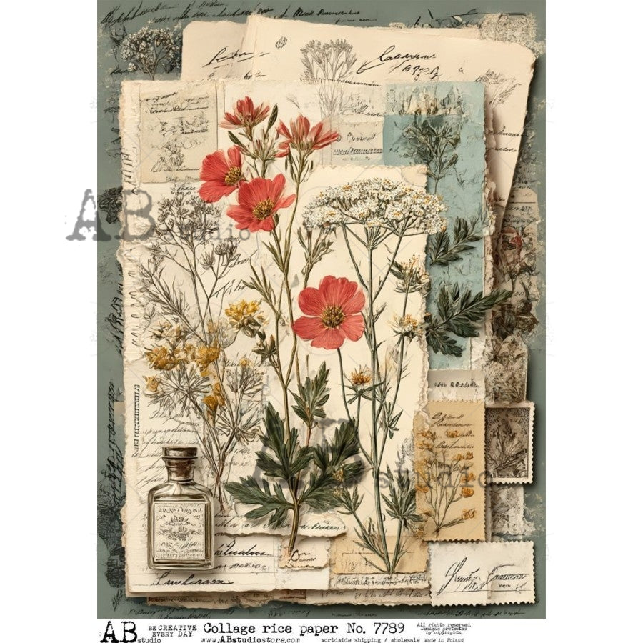 A4 Vintage Botanical Herbarium Collage Rice Paper (AB Studio No7789)