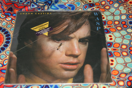 Shaun Cassidy LP