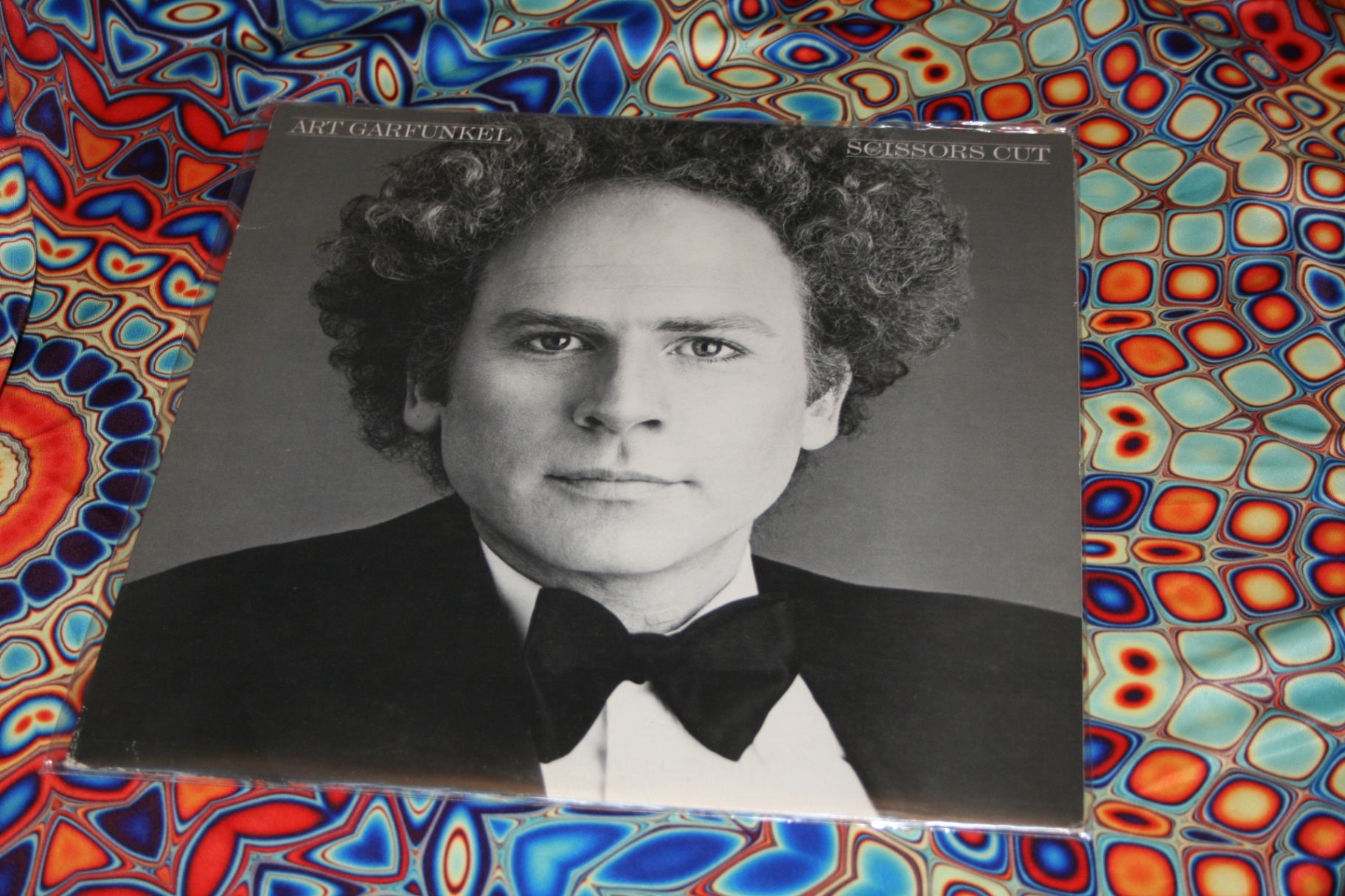 Art Garfunkel Scissors Cut