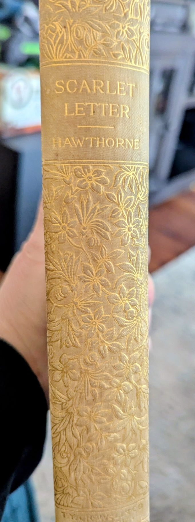 1890 The Scarlet Letter by Hawthorne