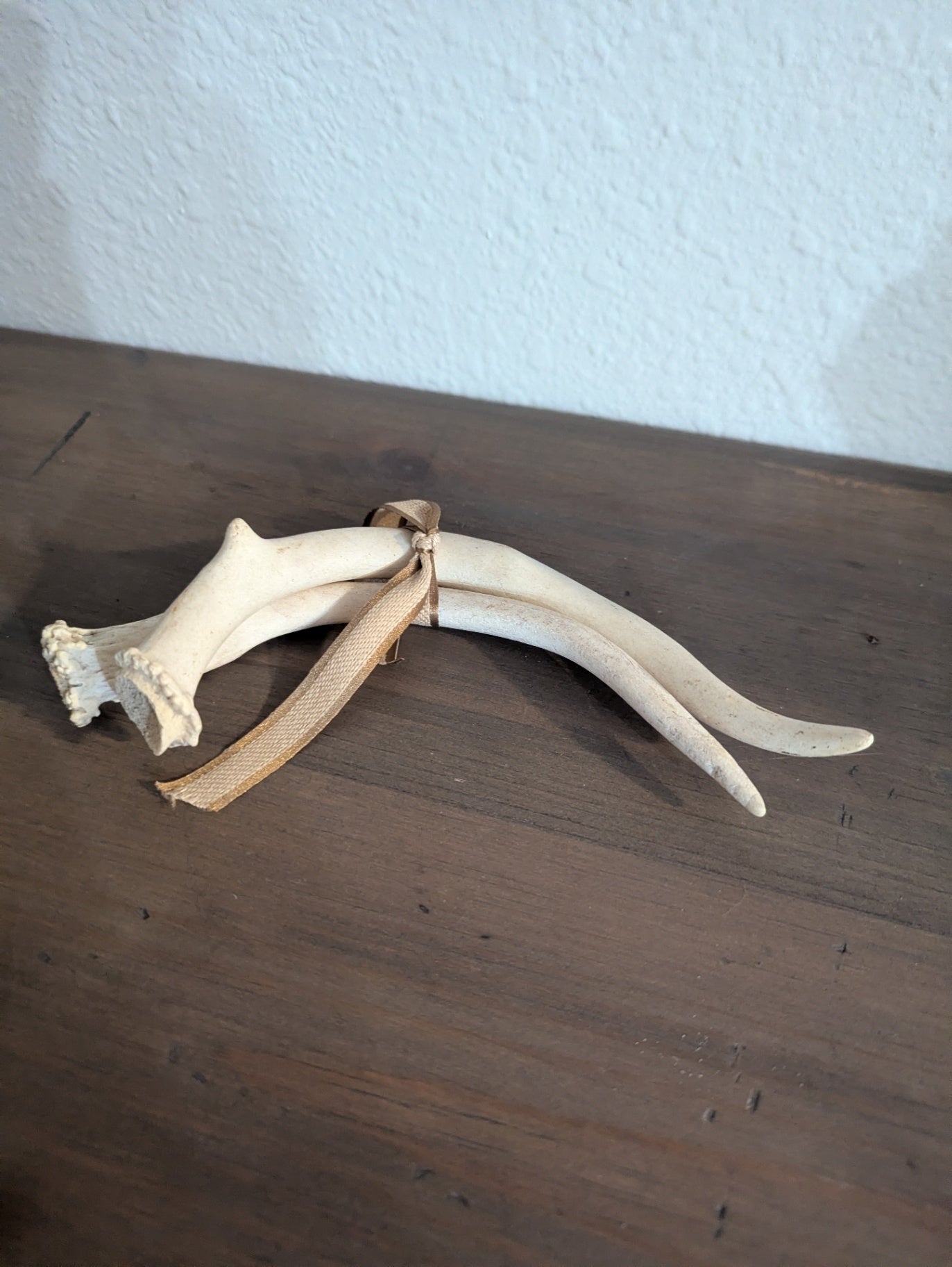 Authentic Pair Deer or Elk Antlers