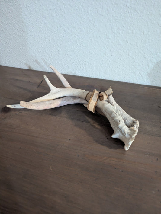 Authentic White-Tailed Deer Antler Pair (3 pt)