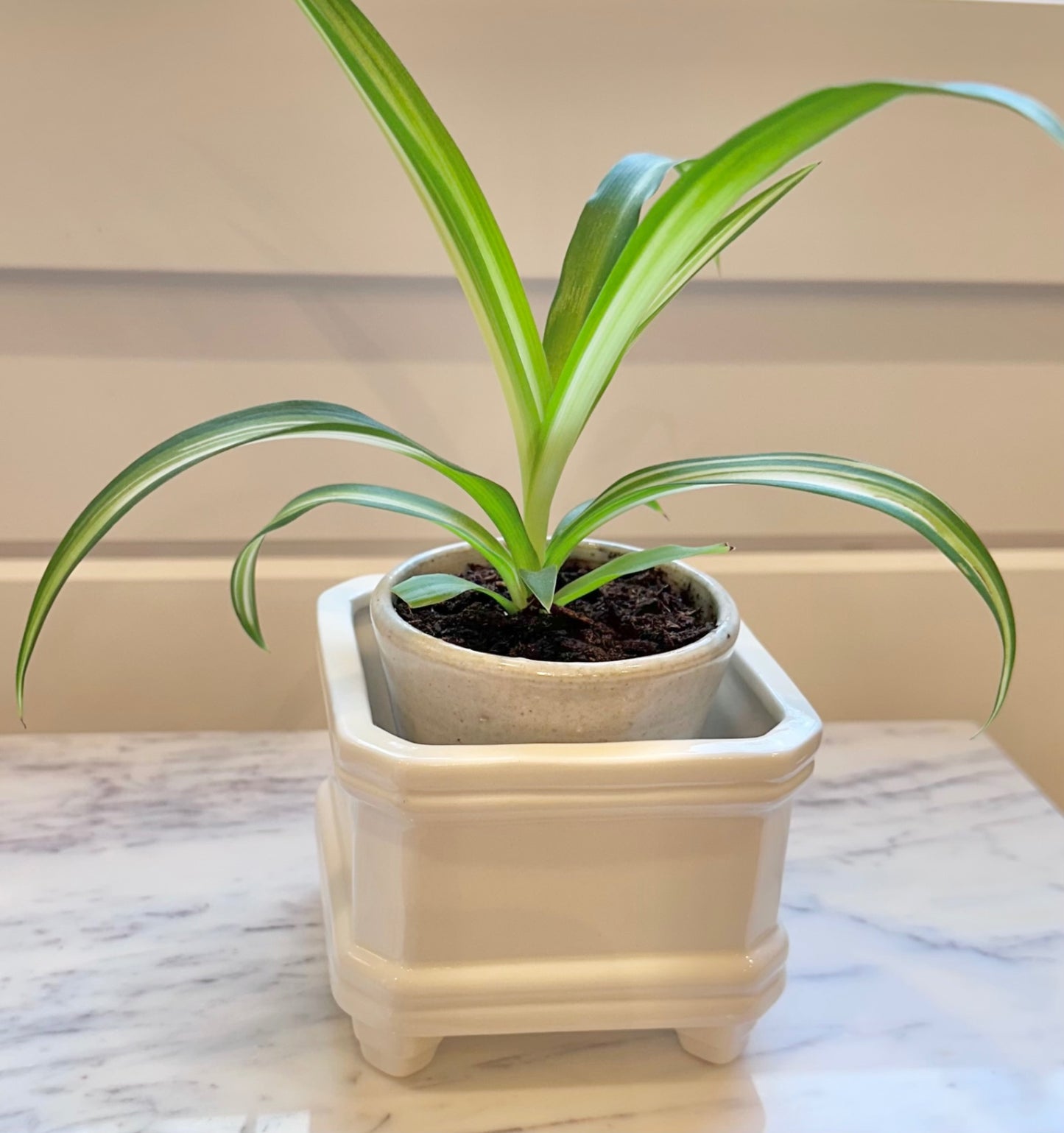 Vintage white porcelain footed planter
