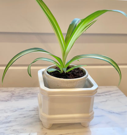 Vintage white porcelain footed planter