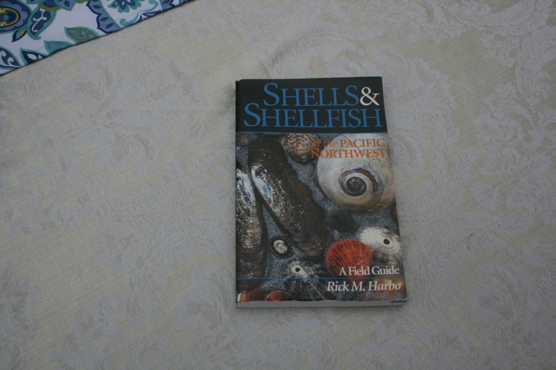 Shells and Shellfish