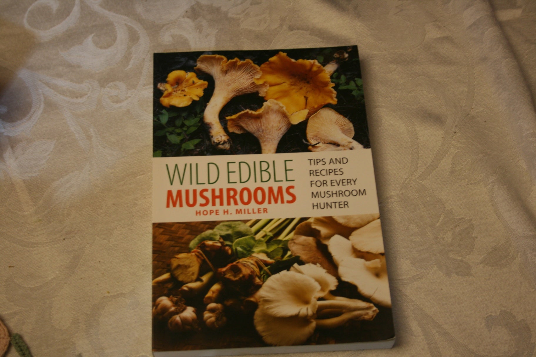 Wild edible mushrooms