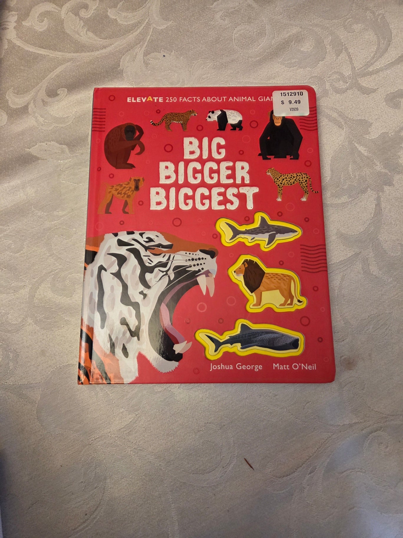 Big, Bigger, Biggest