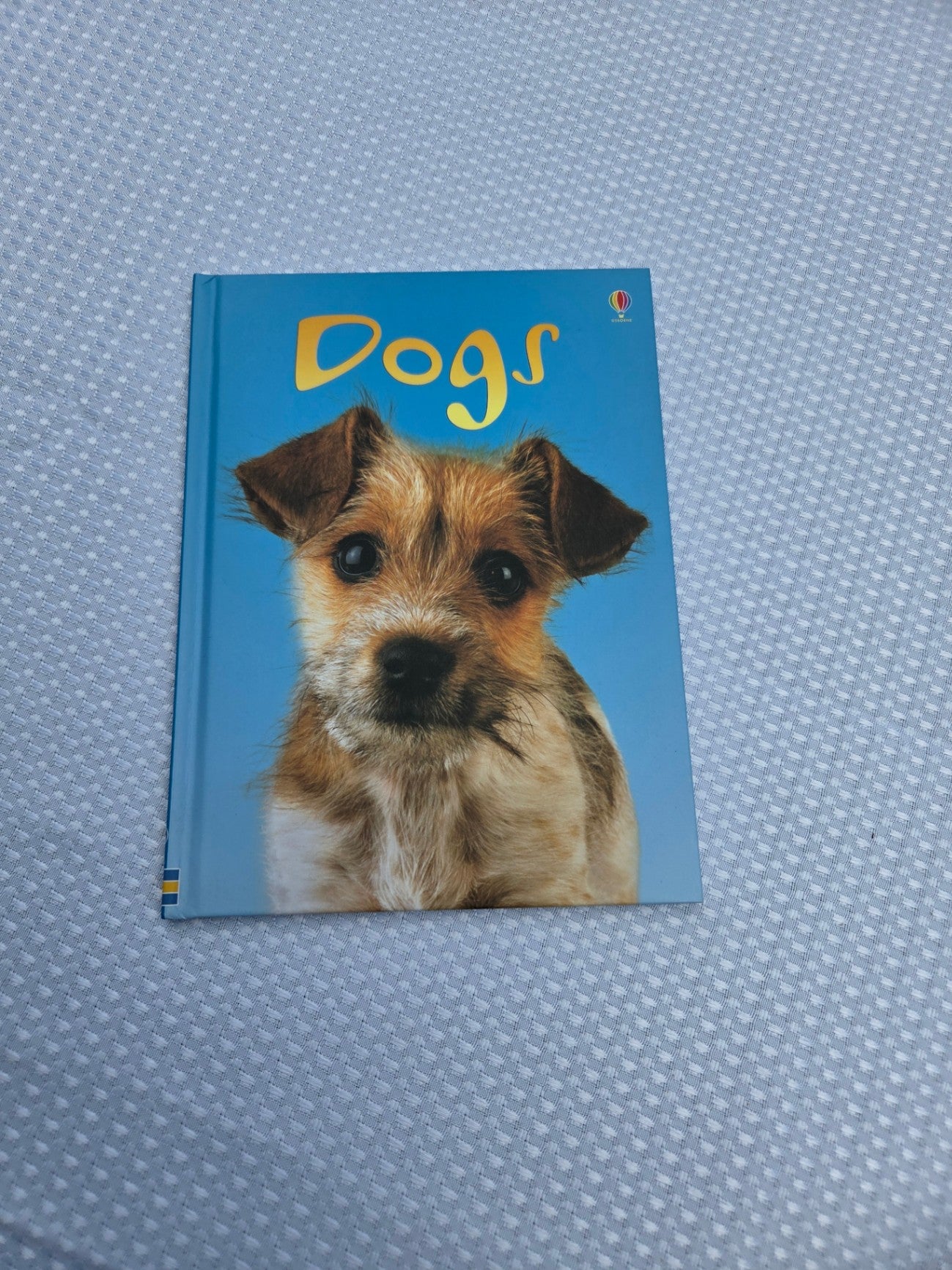 Dogs