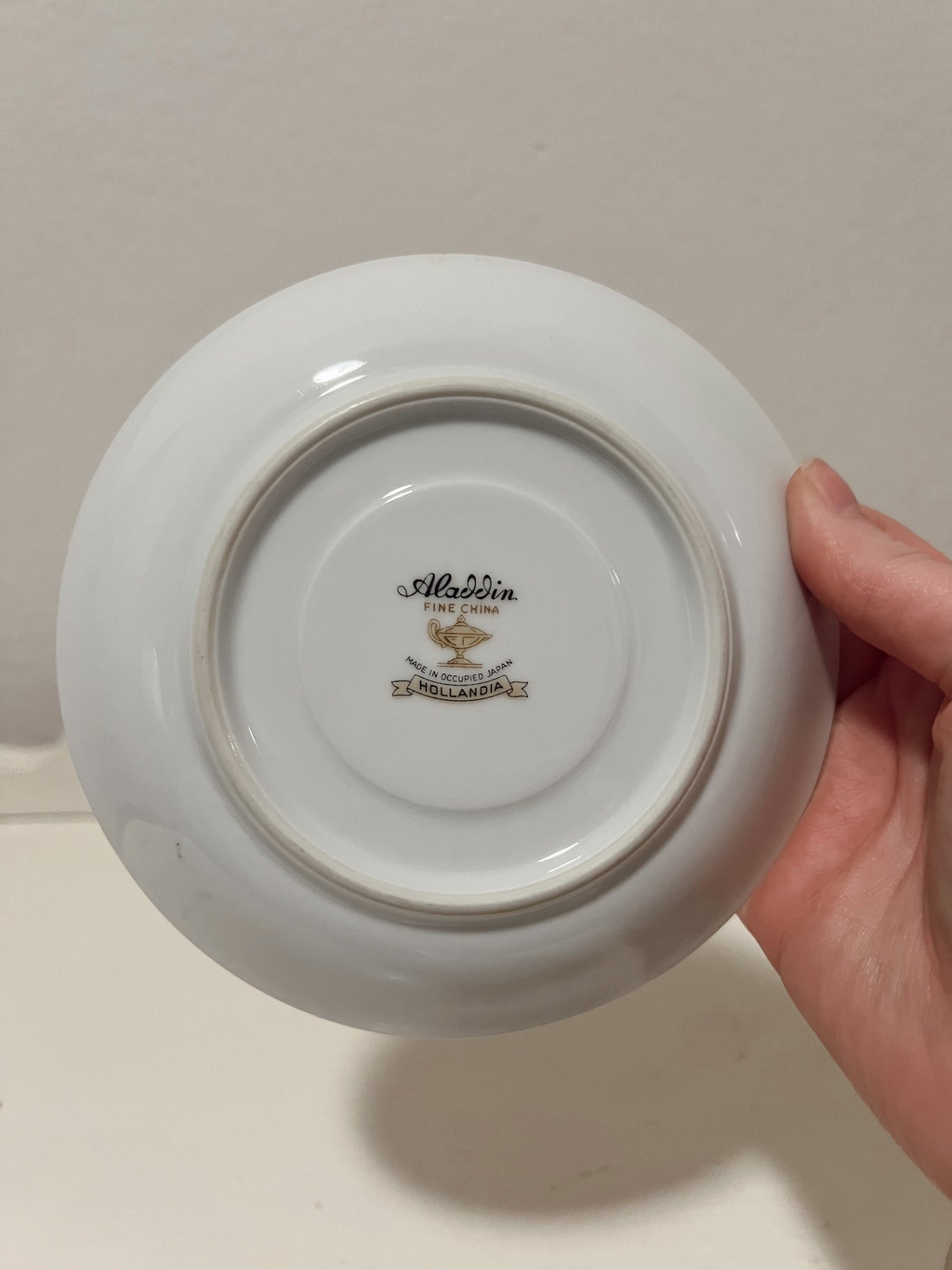 Vintage Aladdin Hollandia Pattern Teacup and Saucer