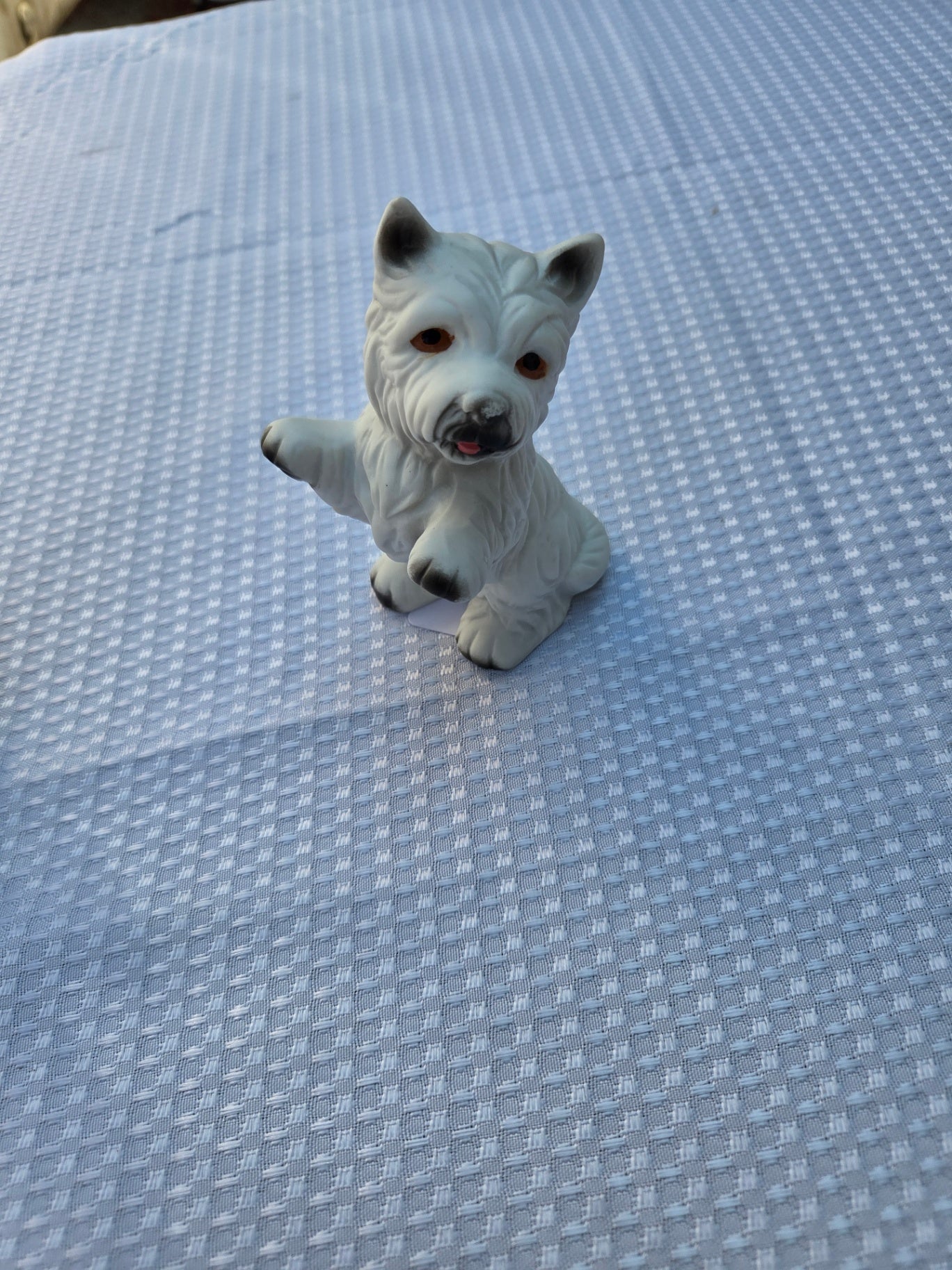 Westie Terrier