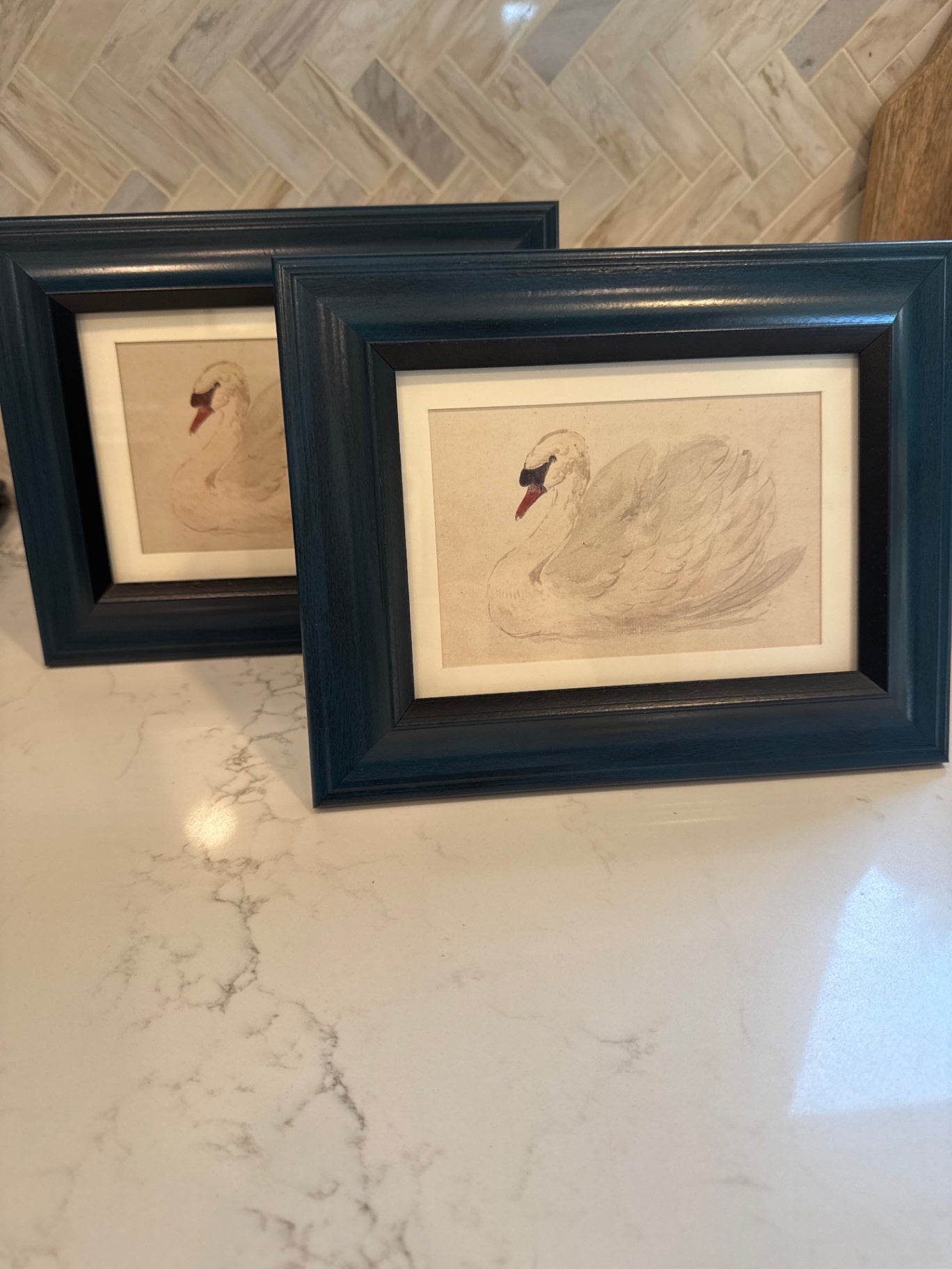 Blue 5x7 Frame w/Swan Print 