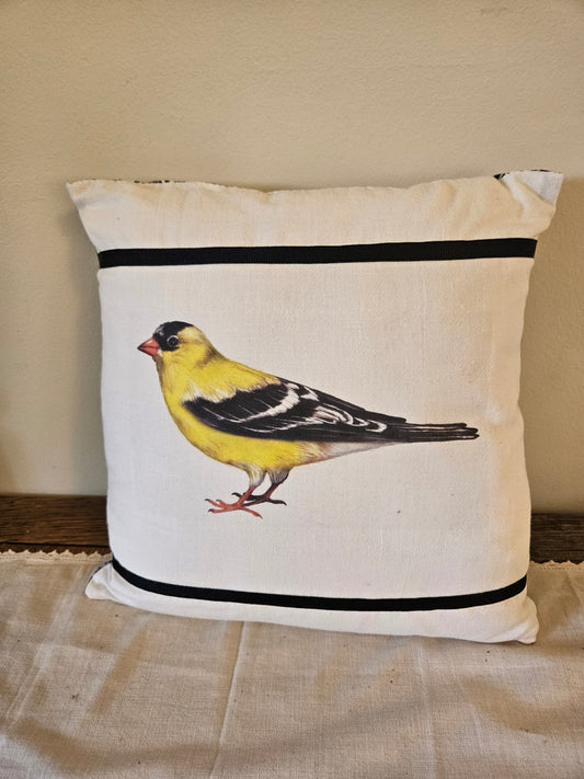 Black yellow bird pillow 12x12 approx