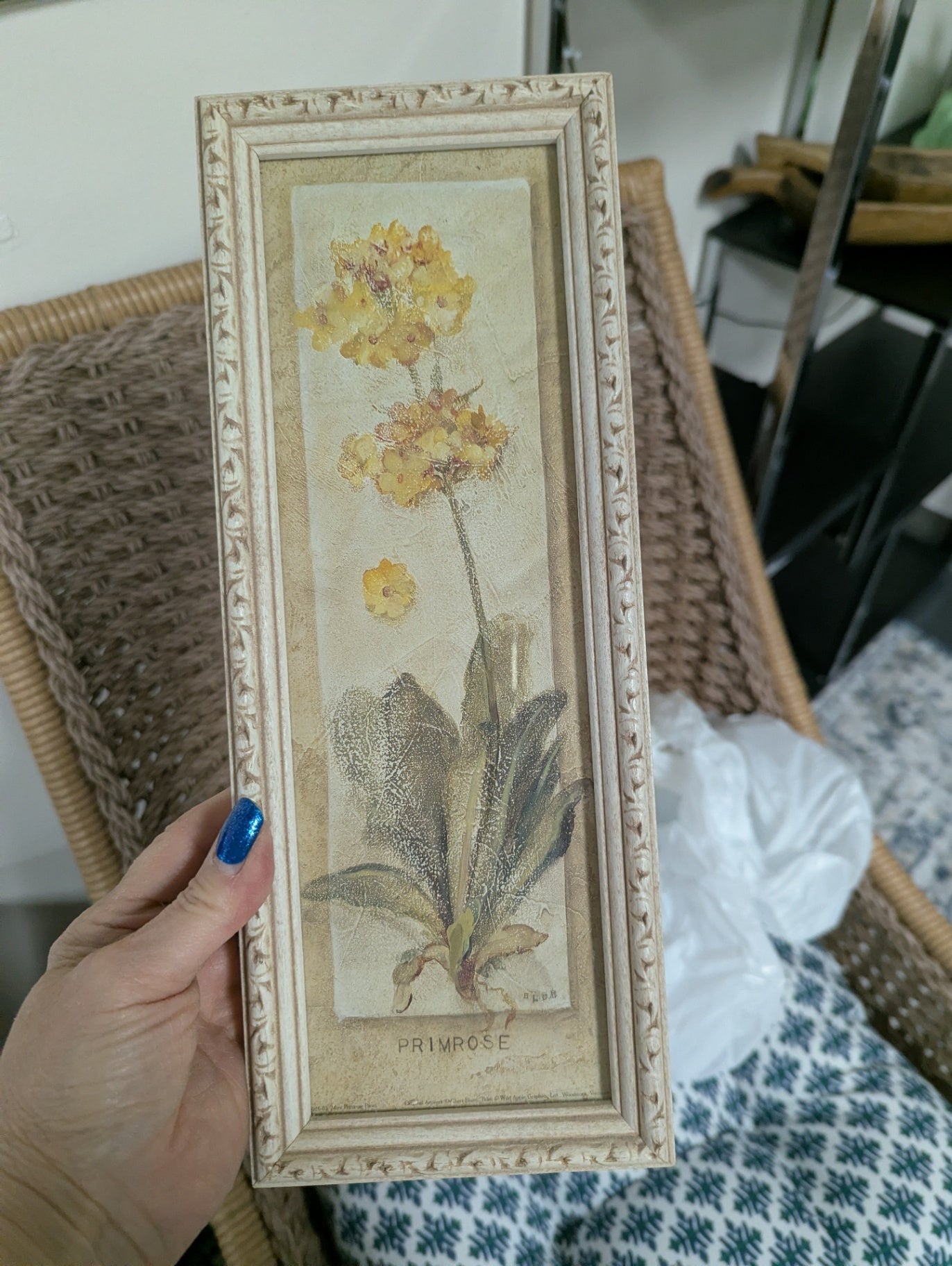 Vtg. Pair of Cheri Blum Botanical Framed Prints