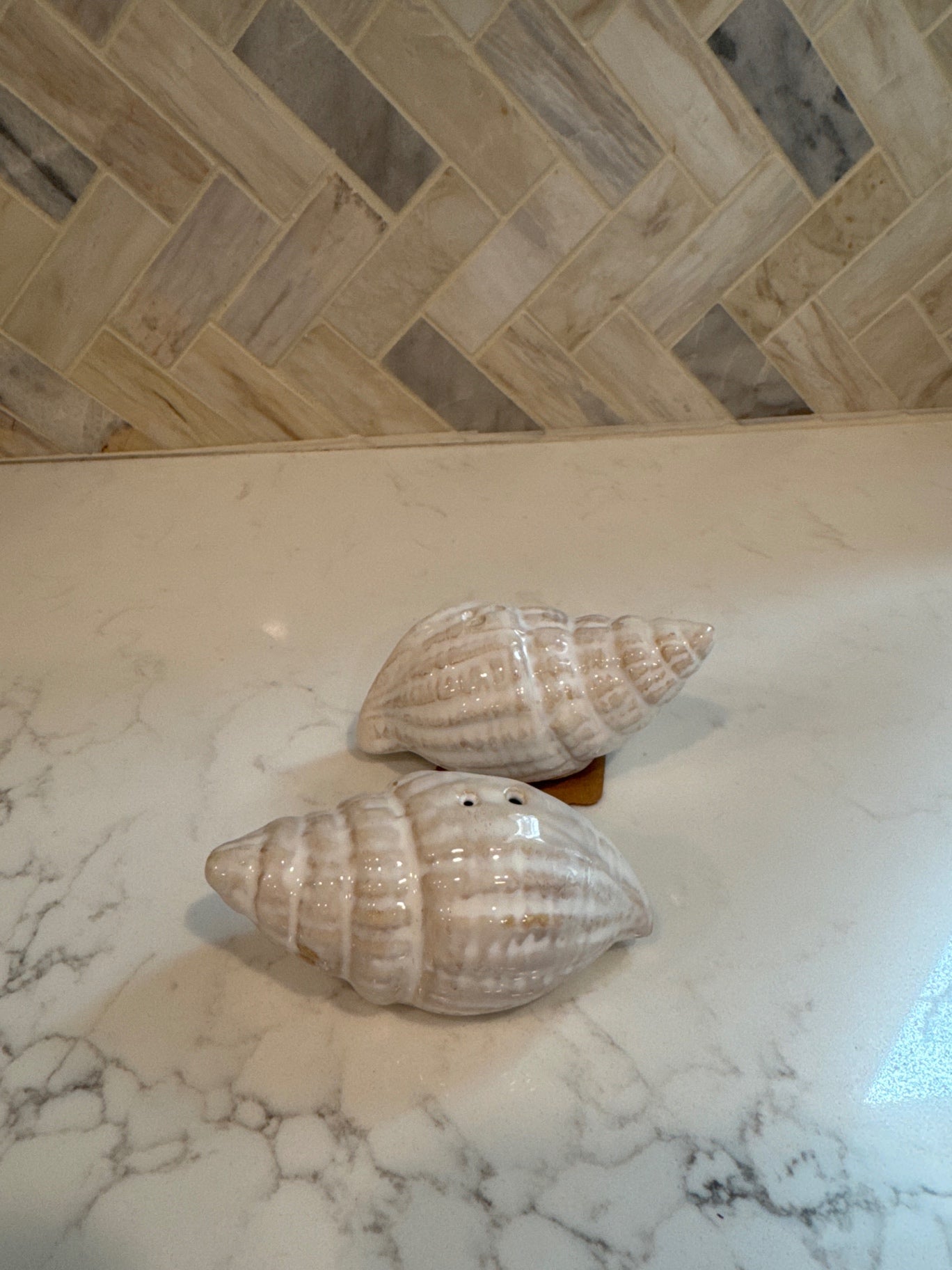 Sea Shell Salt & Pepper Shakers
