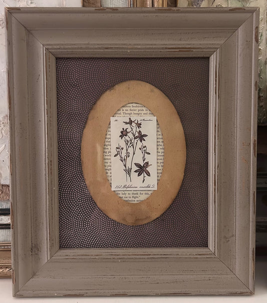 Framed Gathered Treasure - Delphinium