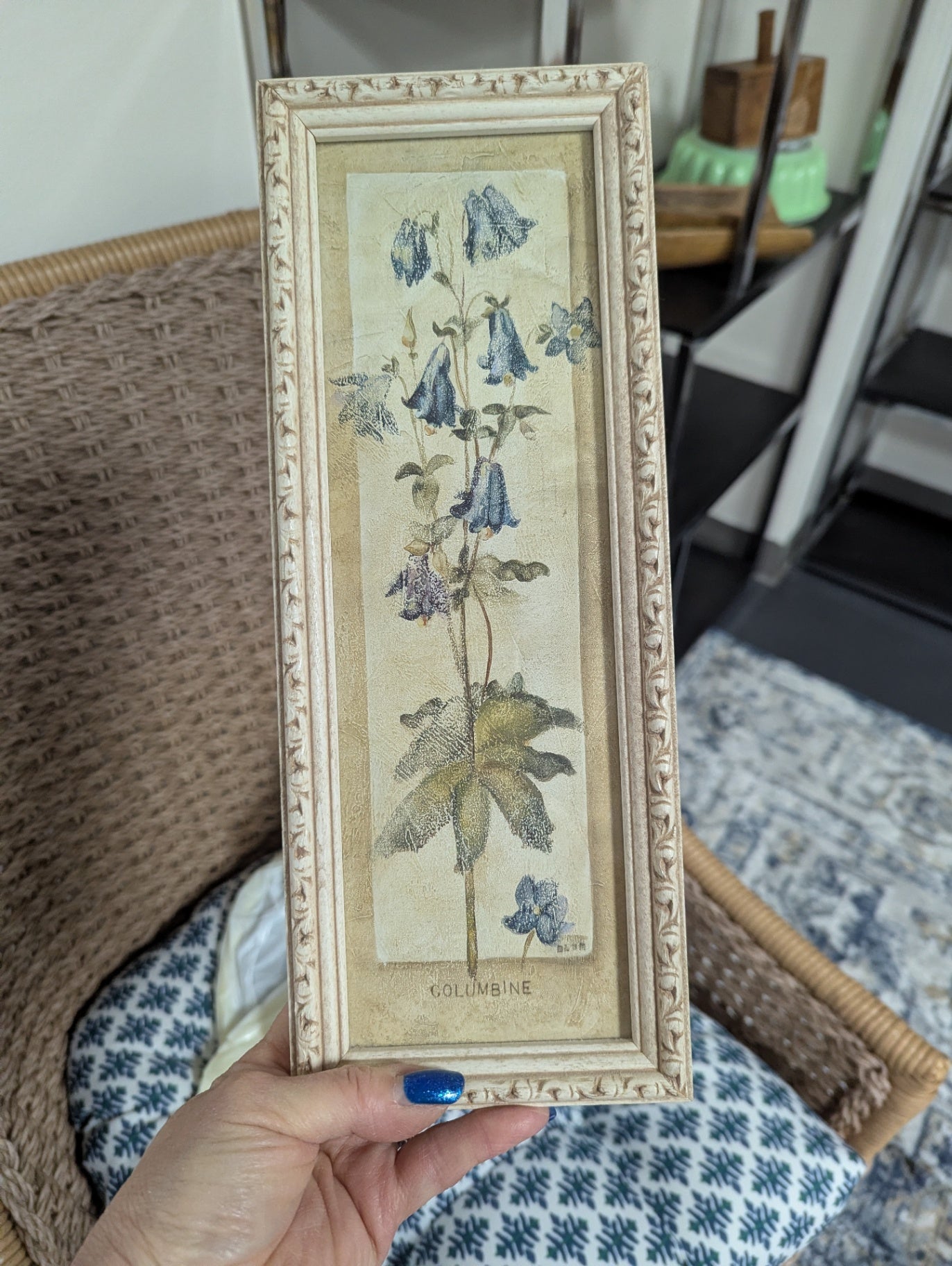 Vtg. Pair of Cheri Blum Botanical Framed Prints