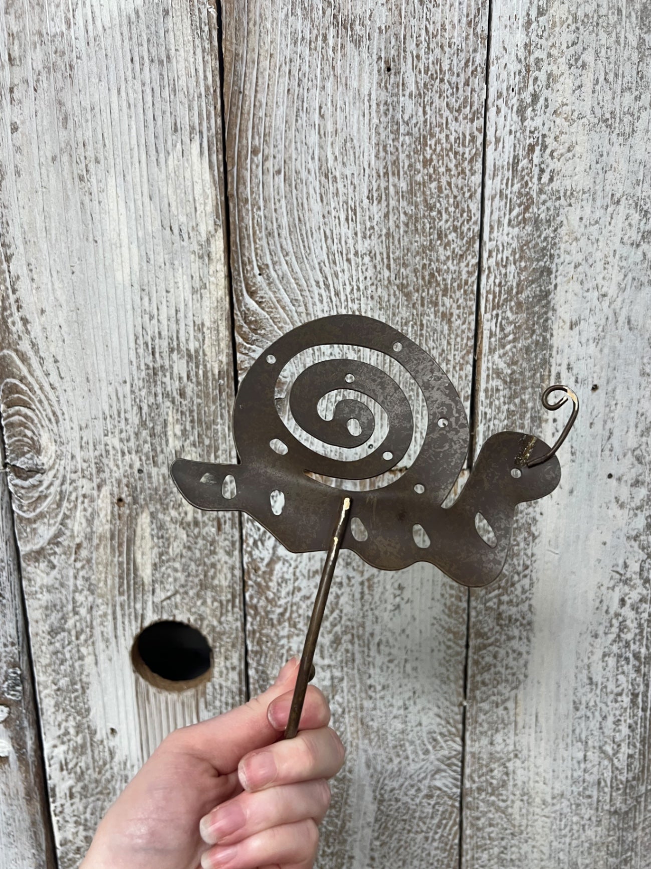 Snail Hanging Wall Hook 