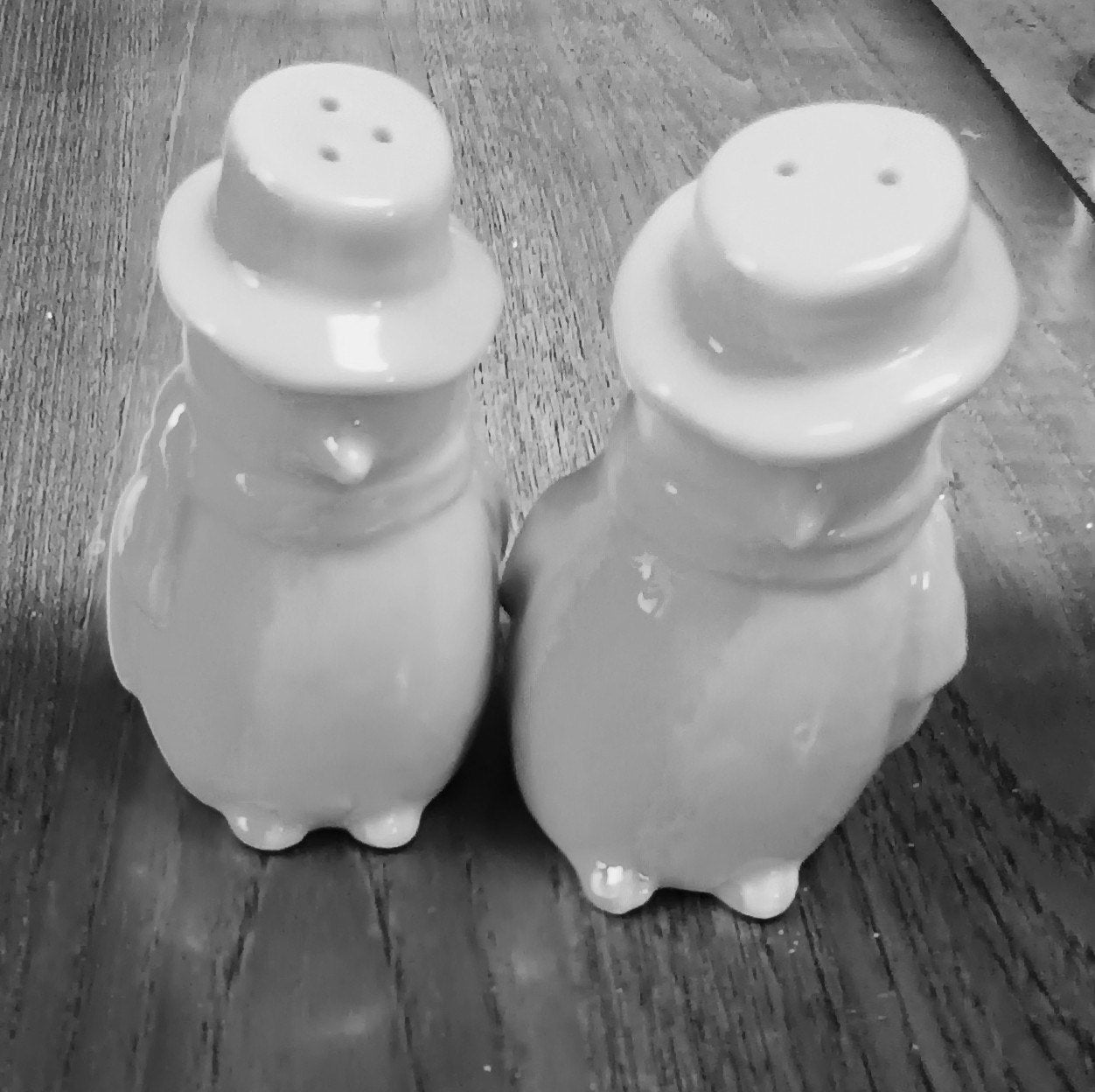 Penguin Salt& Pepper
