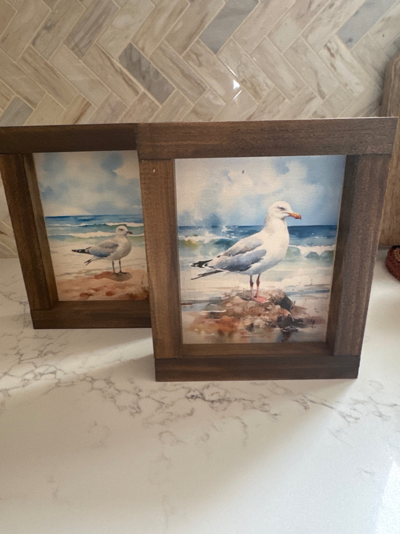 Framed Seagull Sign