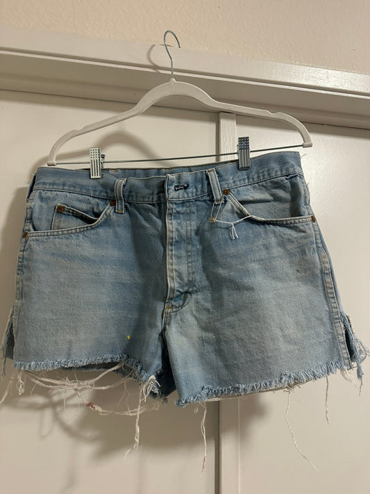 1980's Roebucks denim shorts